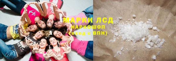 стаф Баксан