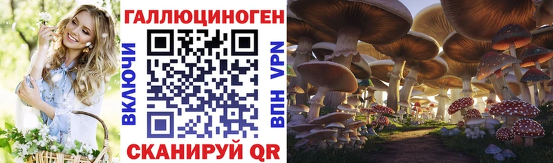 сайты даркнета как зайти  Гороховец  Псилоцибиновые грибы мицелий  продажа наркотиков 