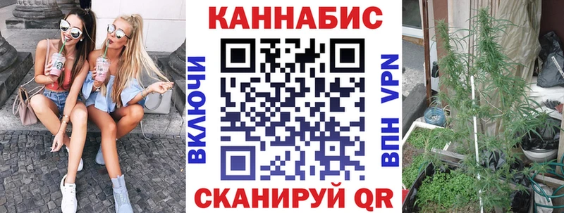 Конопля Amnesia  Гороховец 